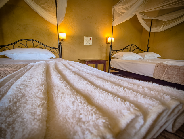 View of roomno.5 single bed